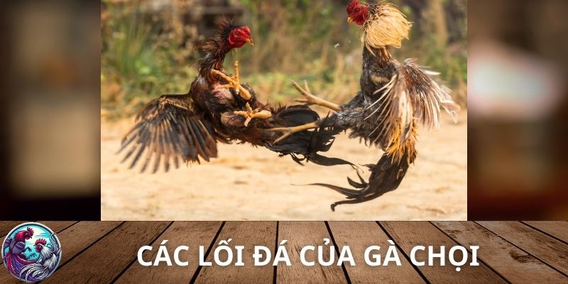 Các lối đá của gà chọi phổ biến