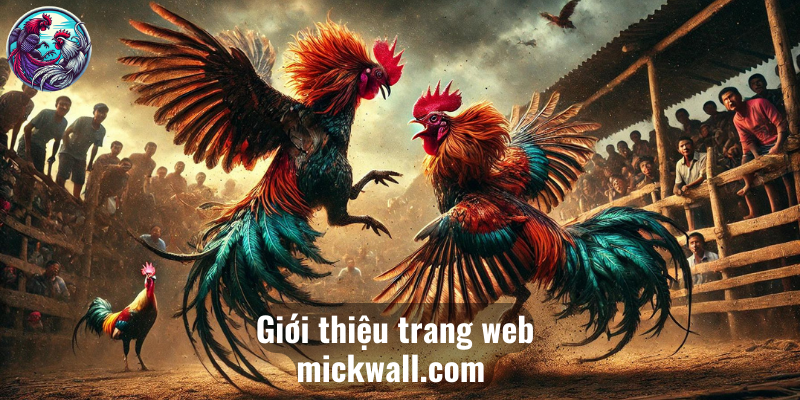 Giới thiệu trang web mickwall.com