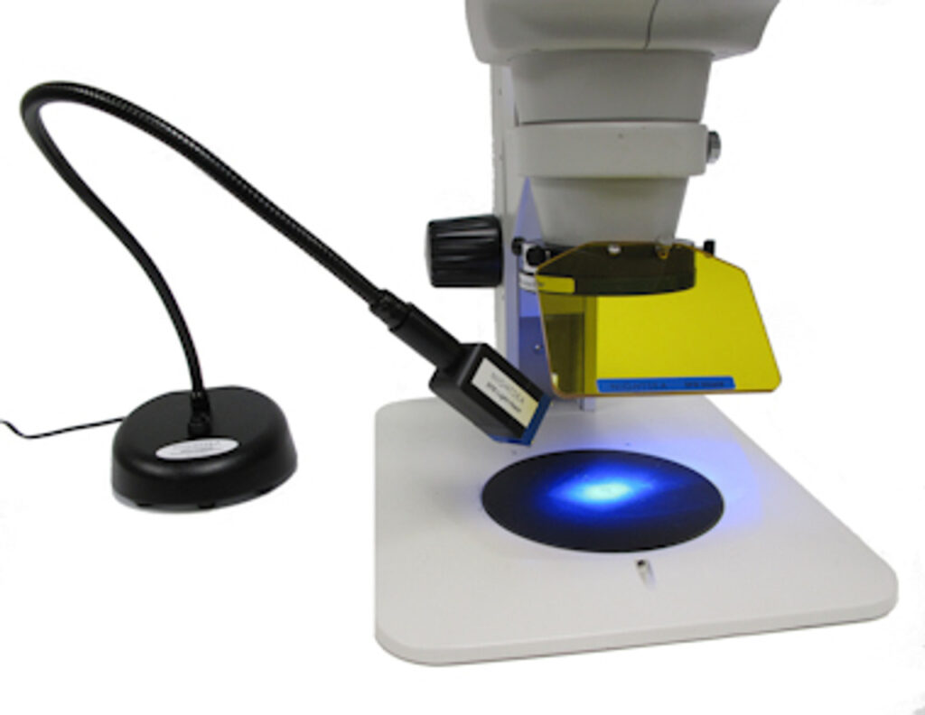 Dissecting Microscope: A Comprehensive Guide