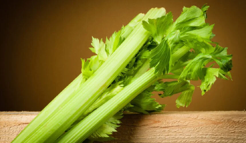 Discover the Benefits of Pravi Celer: The Nutritional Powerhouse You Need in Your Diet