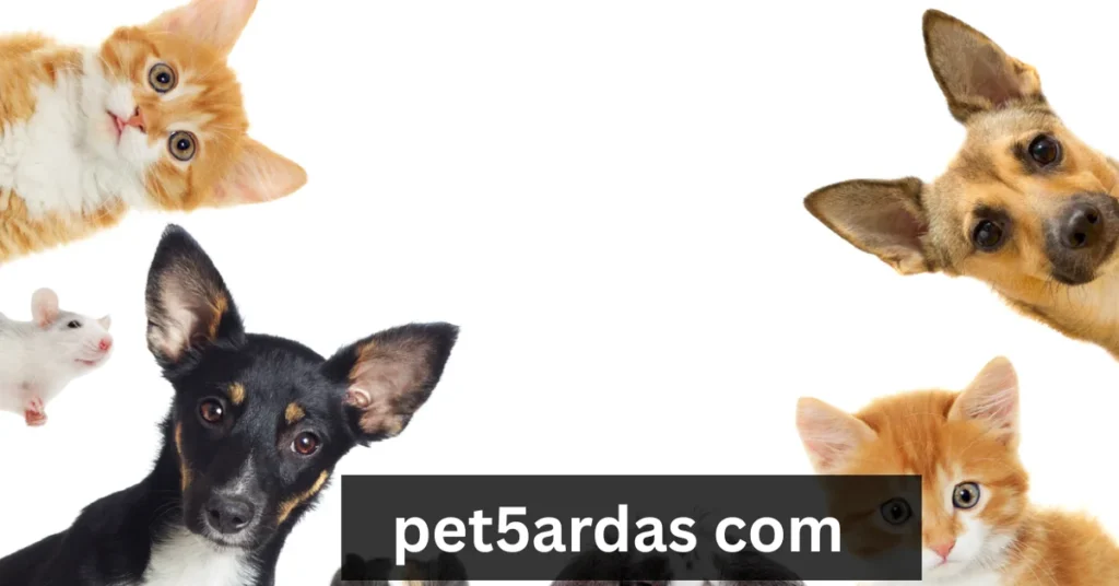 Pet5ardas Com: A Comprehensive Review